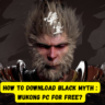 Black Myth Wukong